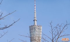 ----微信搜刮号【广州本